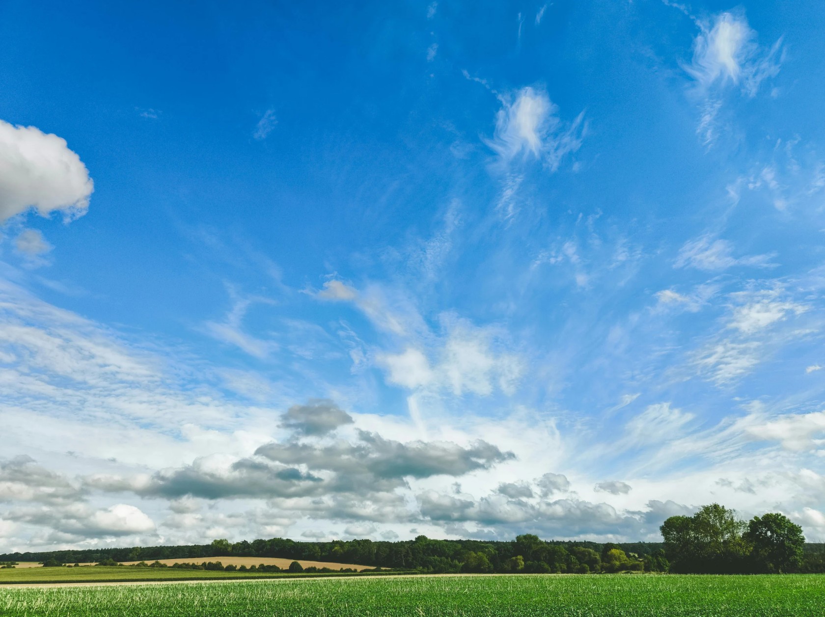 Via Nova propose l’accompagnement par des pairs chefs d’entreprise, dans un pacte structuré entre l’entrepreneur en difficulté et l’association, assuré par un ou plusieurs chefs d’entreprise accompagnants, agissant bénévolement pour la diffusion des savoir-faire de l’entreprise en difficulté.